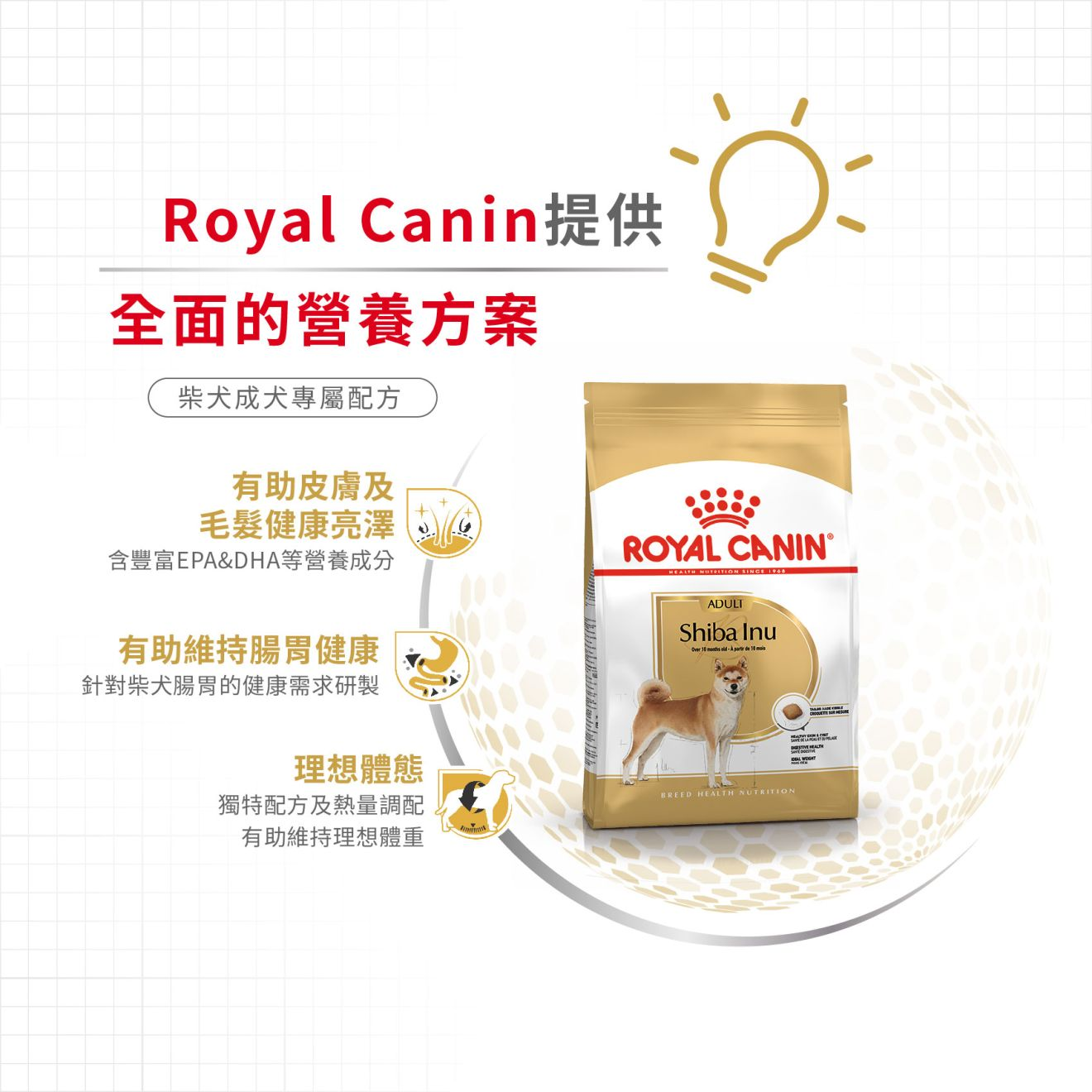 BHN 柴犬成犬專屬配方