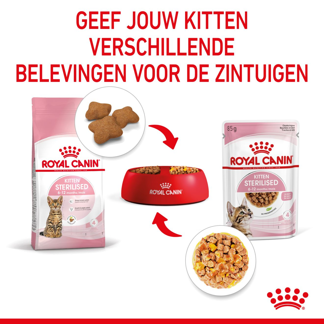 Kitten Sterilised in Jelly (brokjes in gelei)