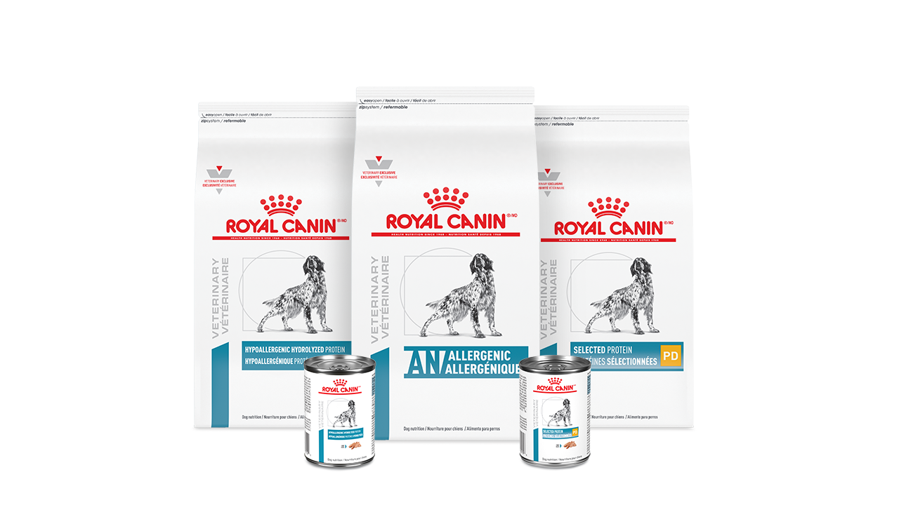 Royal canin shop hypoallergenic canada