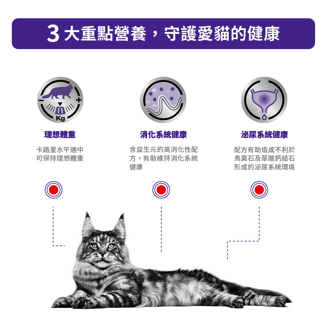 Royal Canin - After neutering, cats tend to gain some weight. Keep