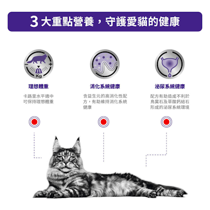 絕育貓飽足感健康管理袋裝濕糧（肉汁）_方_2