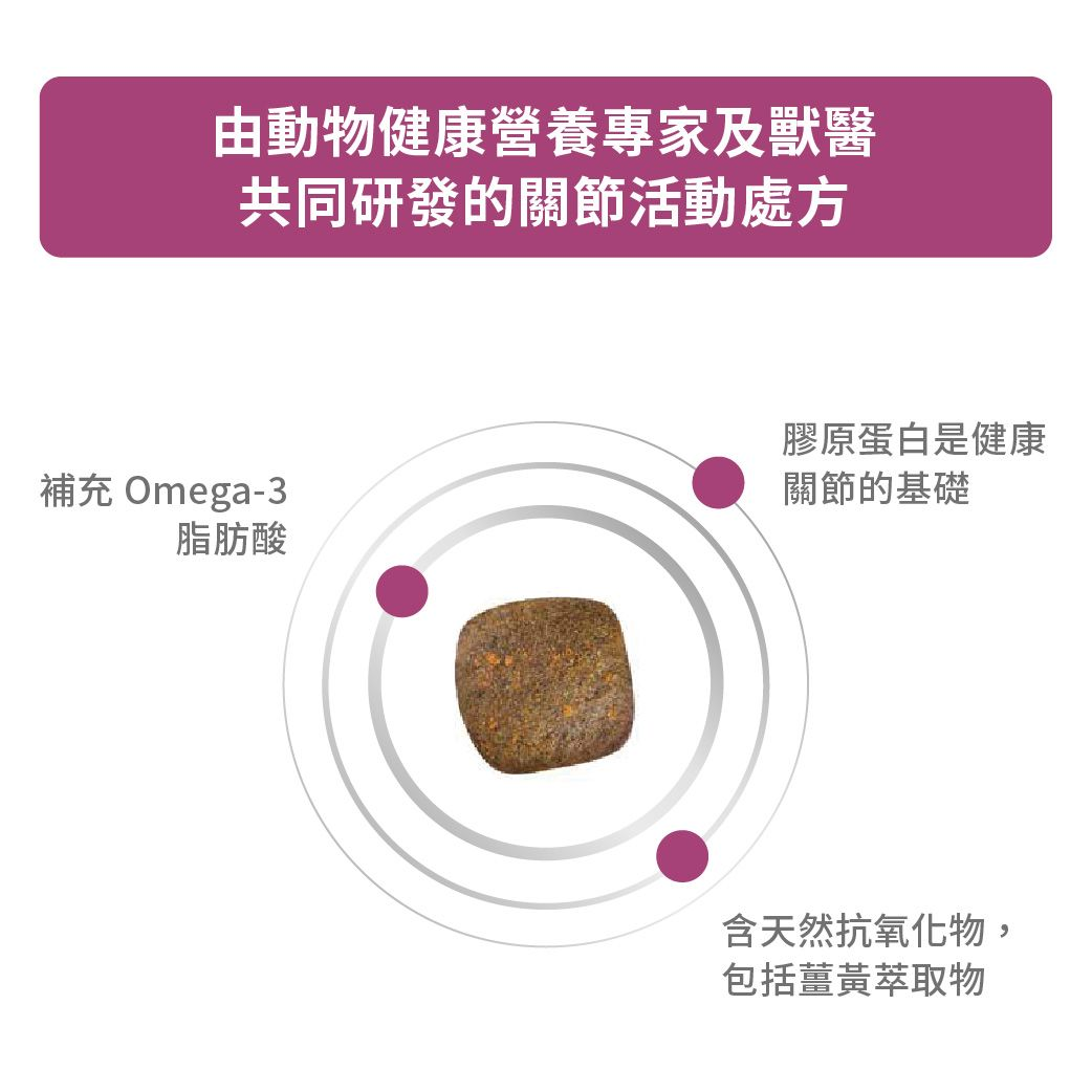 成犬關節活動處方