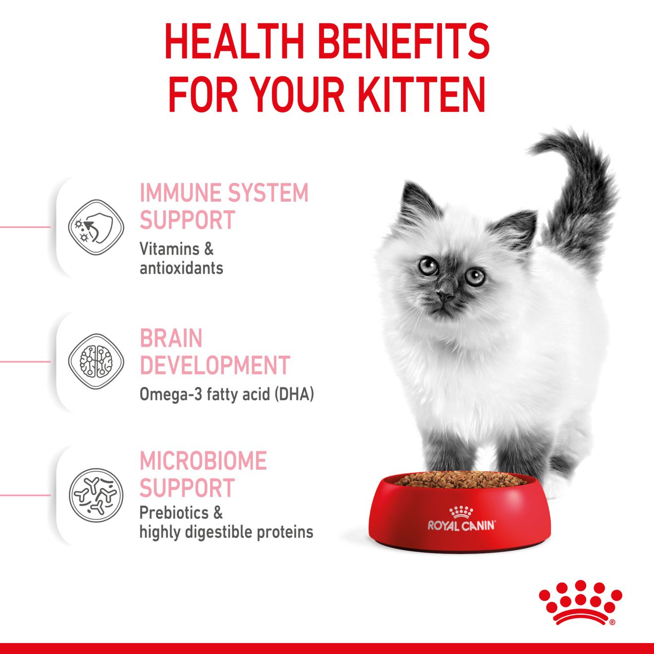 Royal canin kitten hair and outlet skin