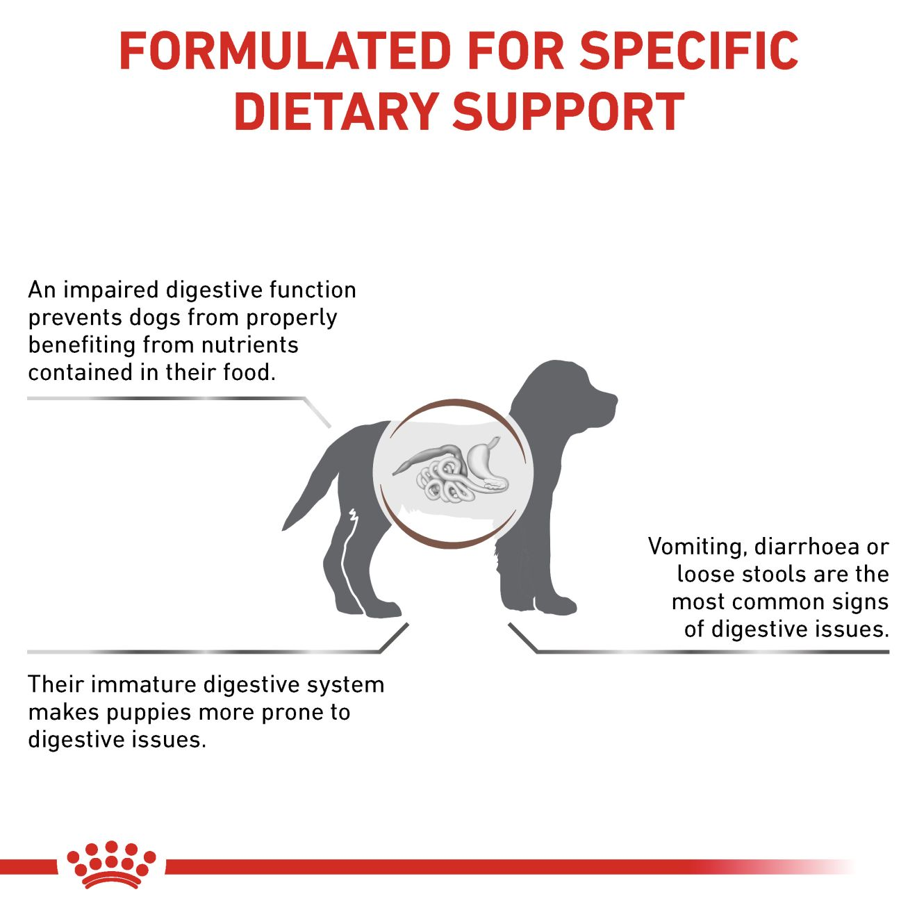 VHN Dog Gastrointestinal Puppy