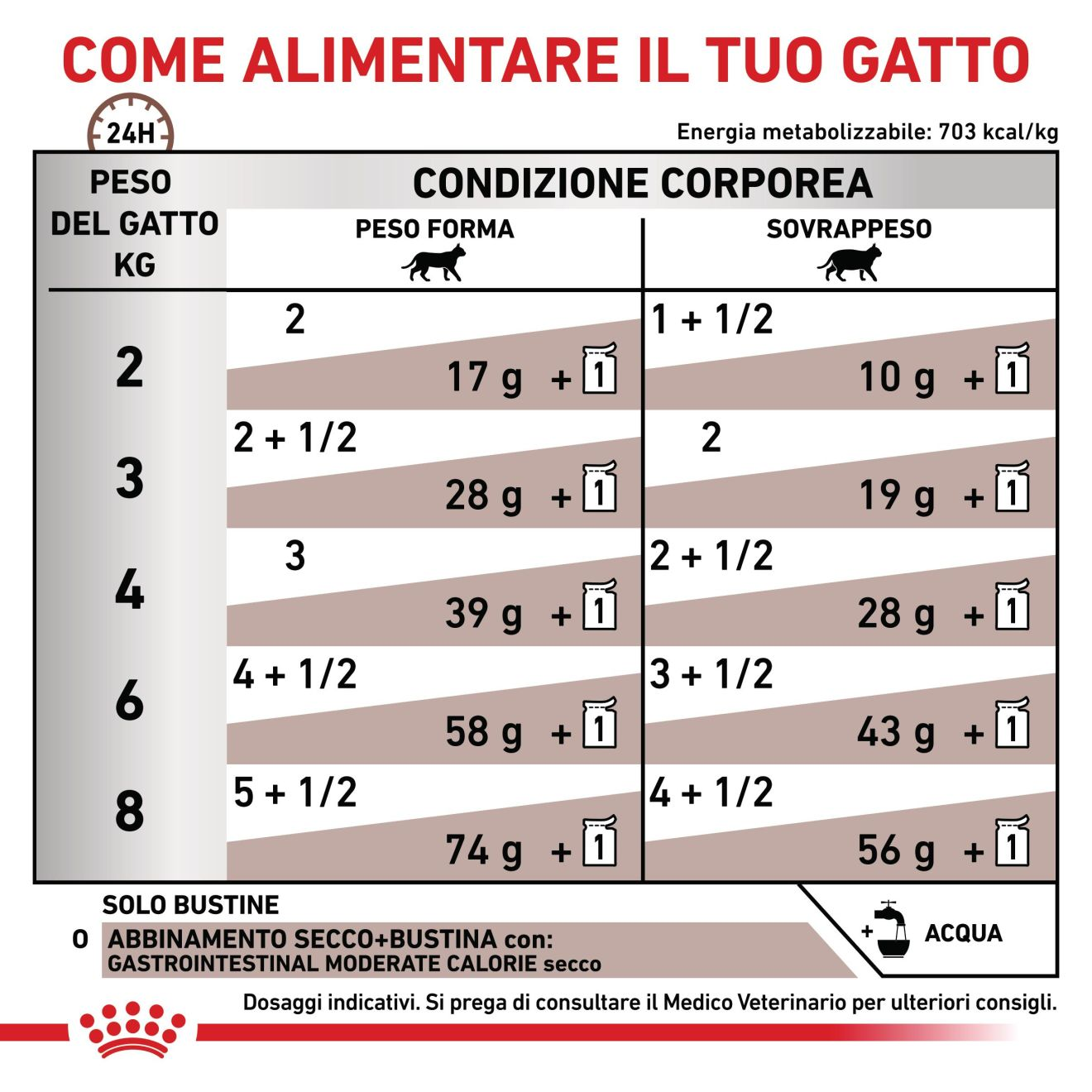 Gastrointestinal Moderate Calorie
