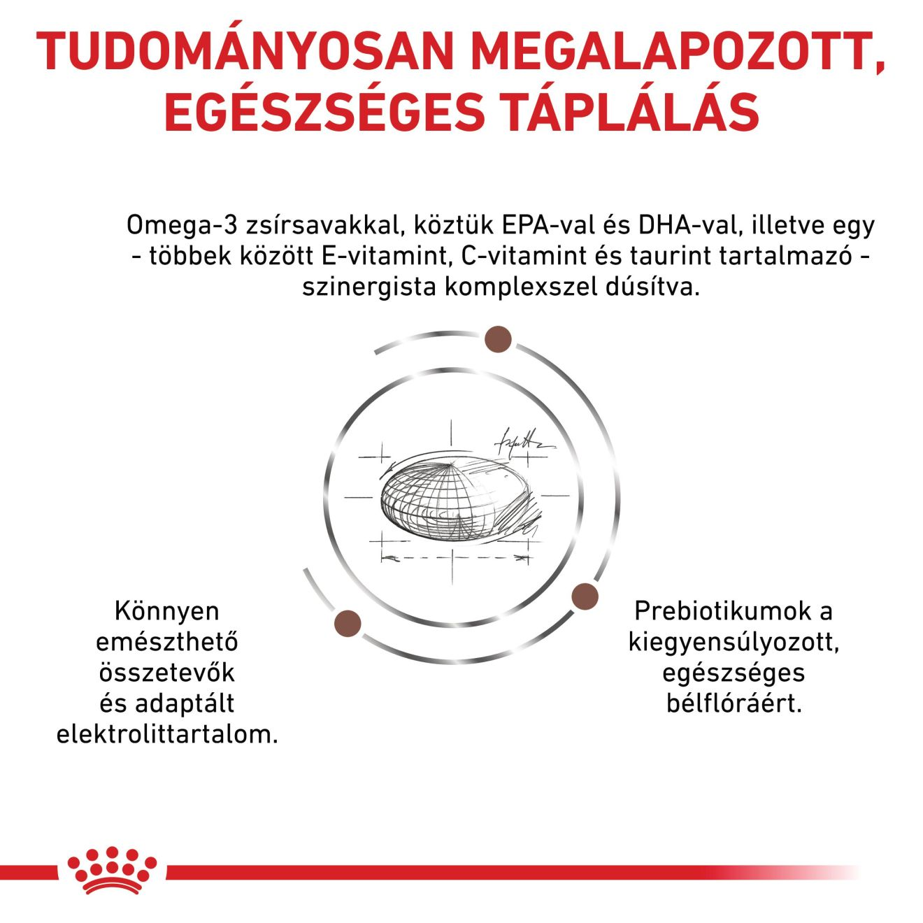 Gastrointestinal Low Fat