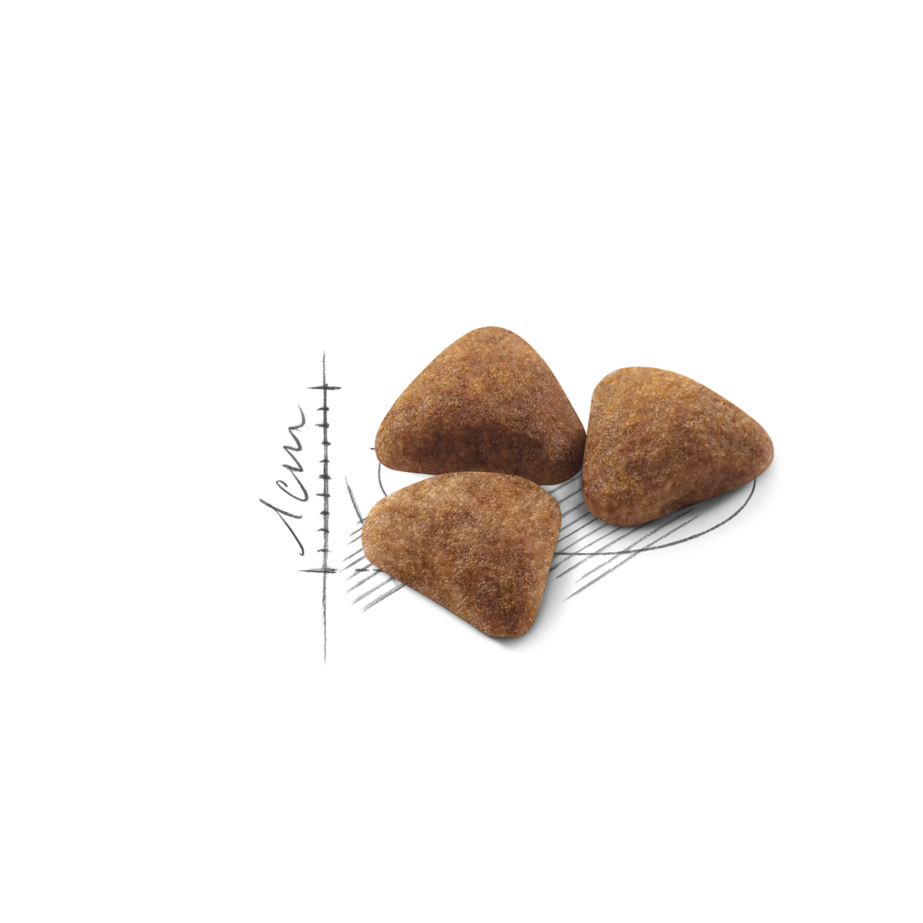 royal canin indoor 27 10kg