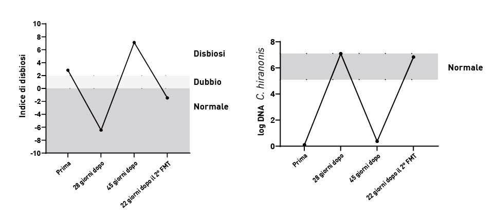 L’effetto del trapianto di microbiota fecale (FMT)