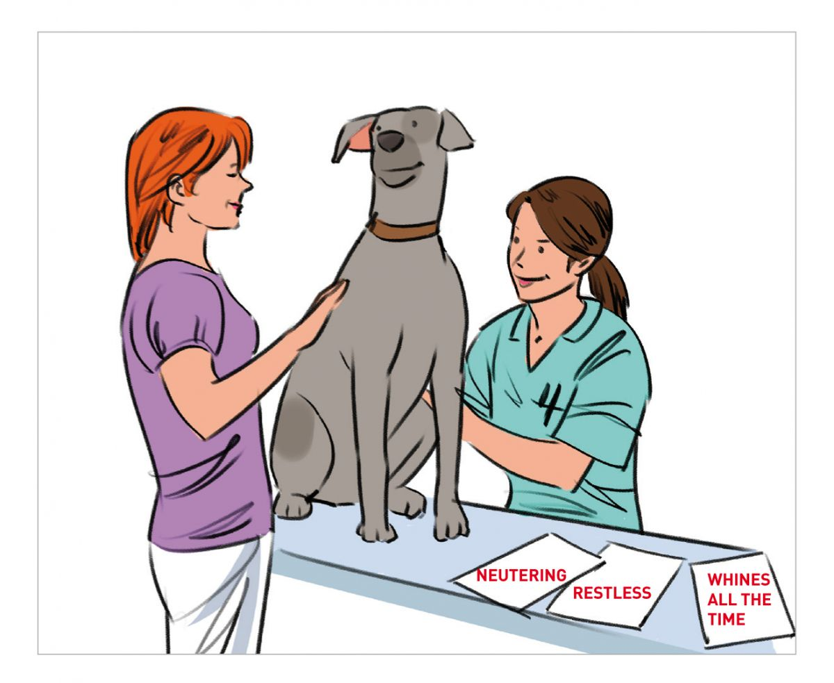 When talking to the client it is essential for a good communication and service to ask questions until all facts are clear and “on the table”. This strategy improves communication and delivery of services.