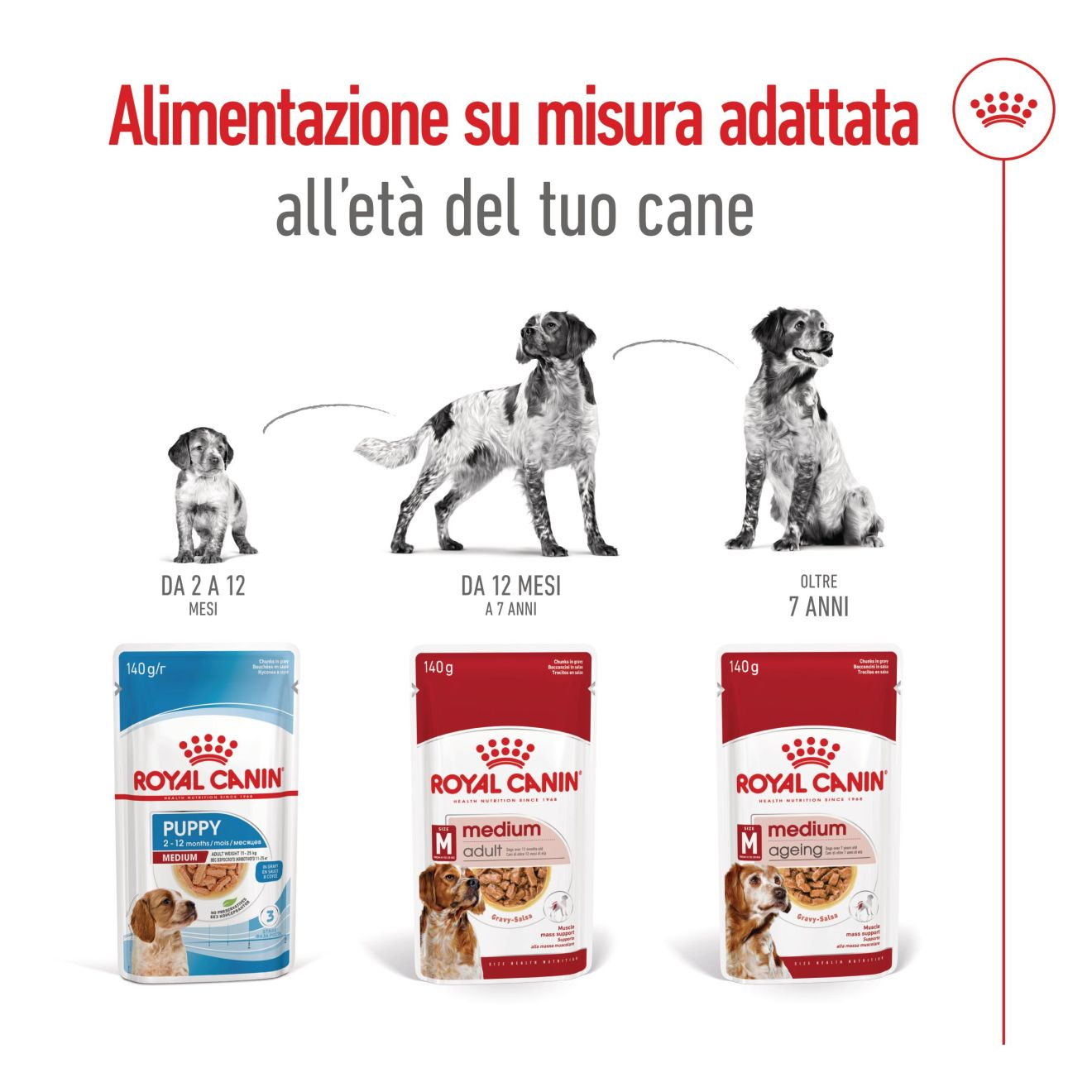 Medium Ageing bocconcini in salsa