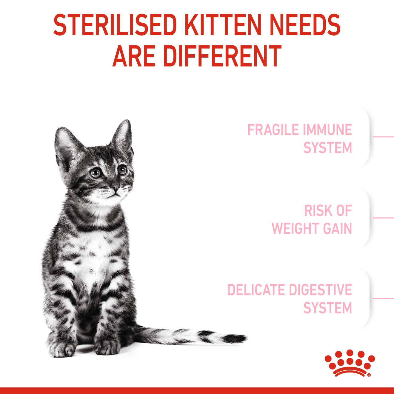 อาหารลูกแมวทำหมัน ชนิดเม็ด (KITTEN STERILISED)