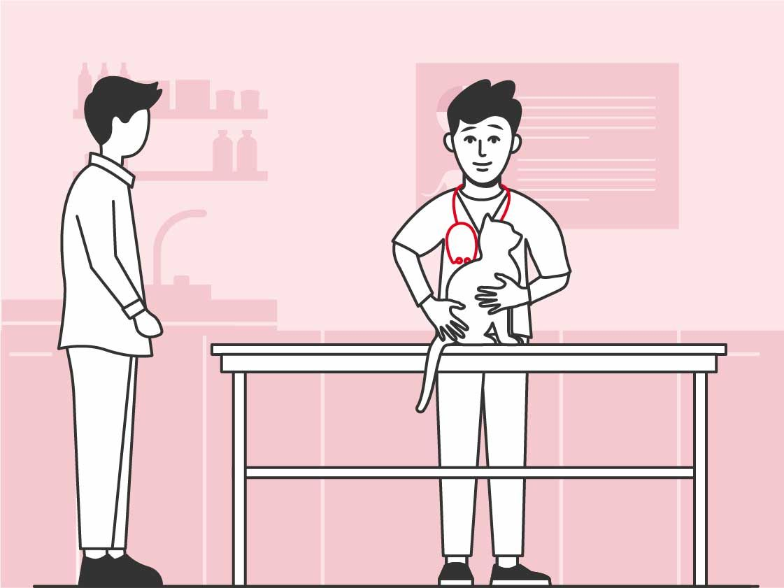 Illustration of owner taking pet to vet