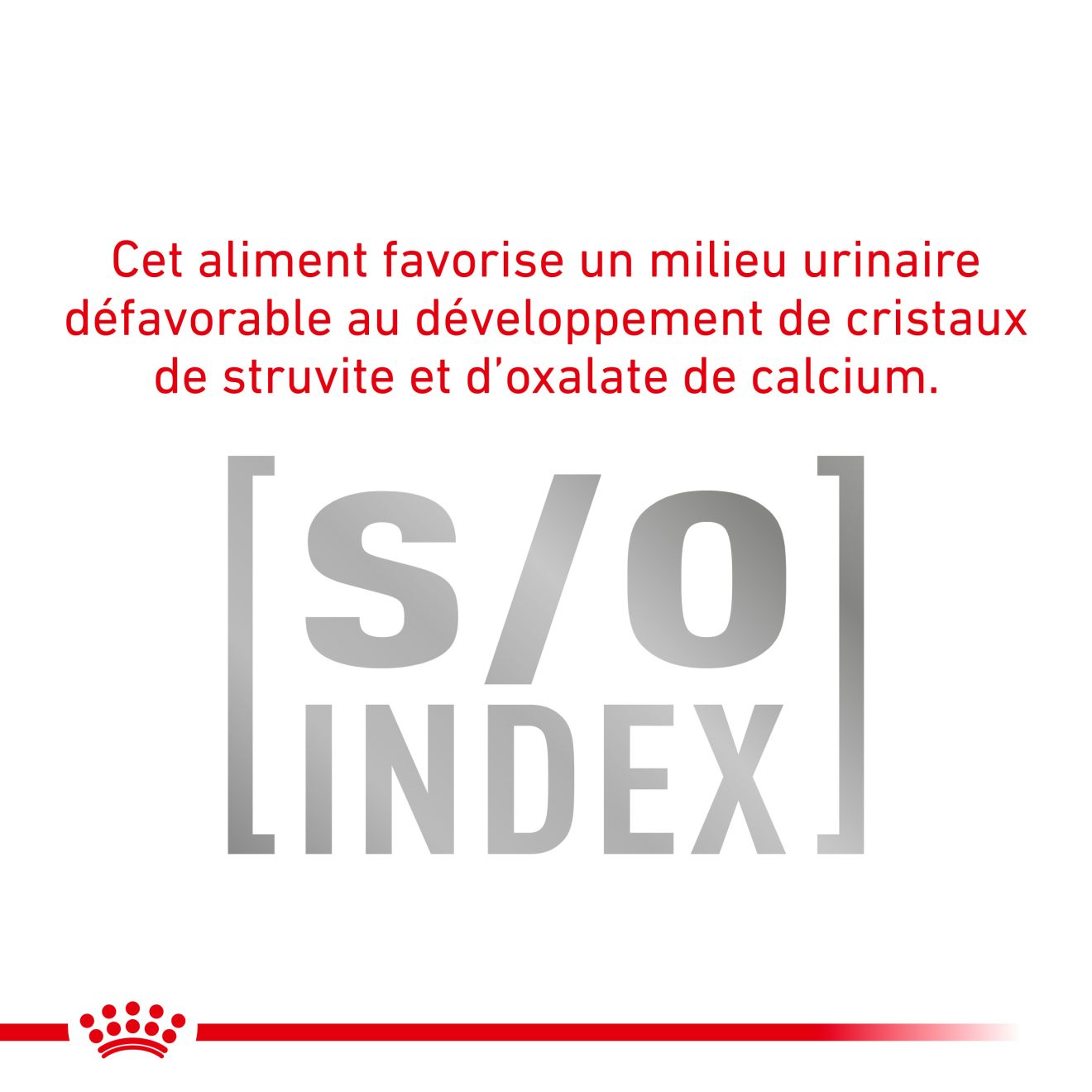 Royal Canin hypoallergenic chat - Croquettes Chat - Alimentation