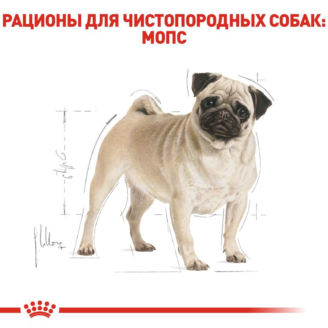 Royal canin 2024 pug 7.5