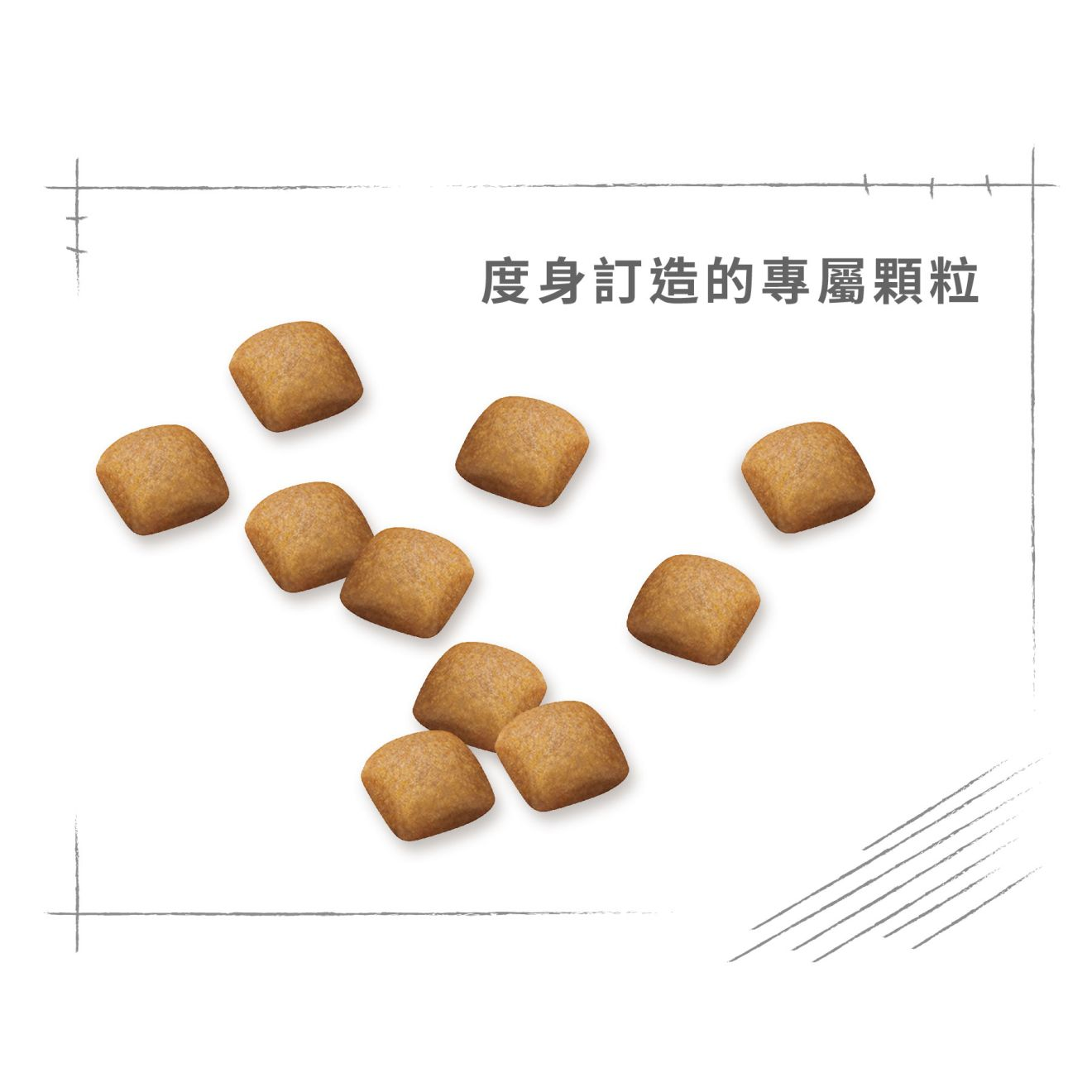 BHN 柴犬成犬專屬配方