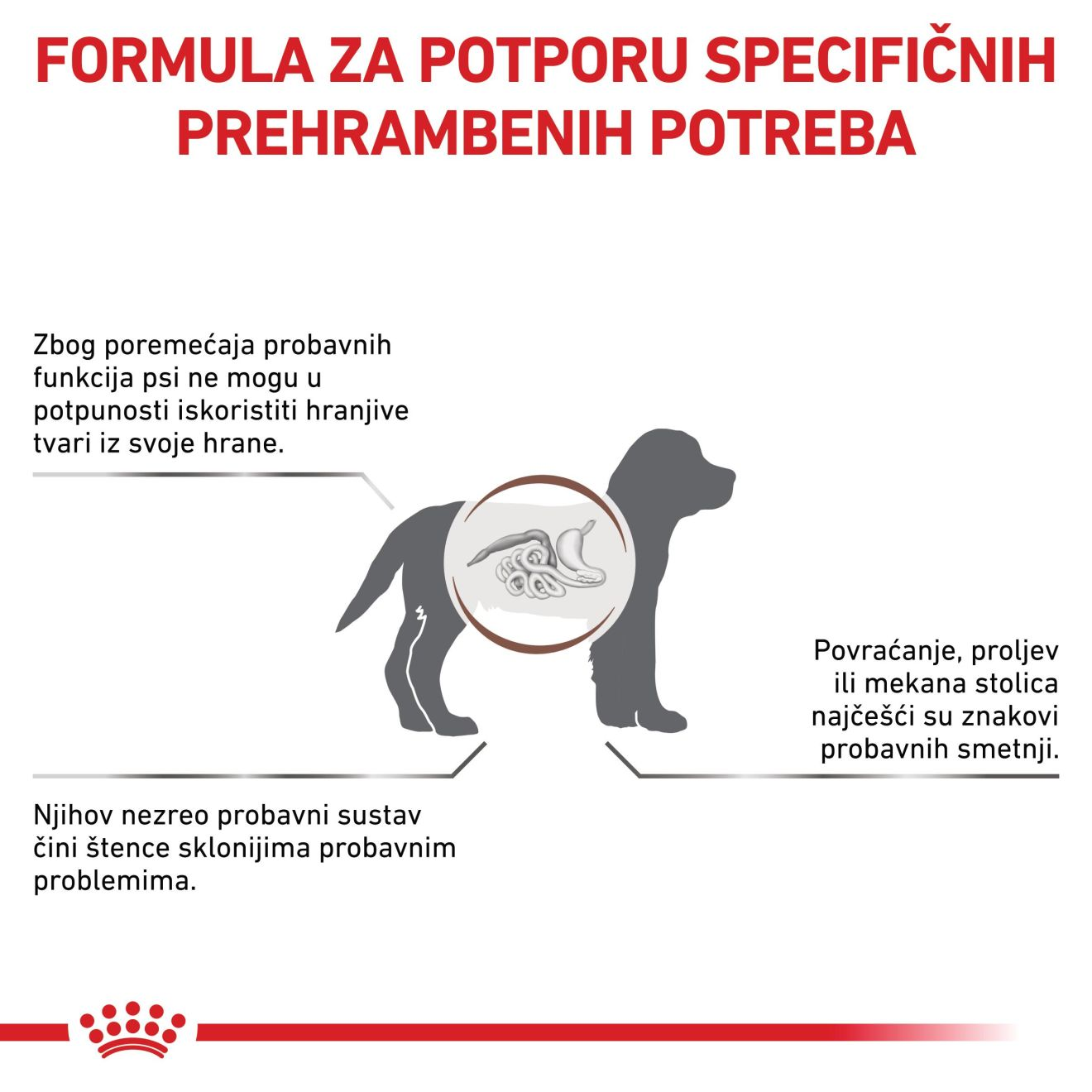 GASTROINTESTINAL PUPPY