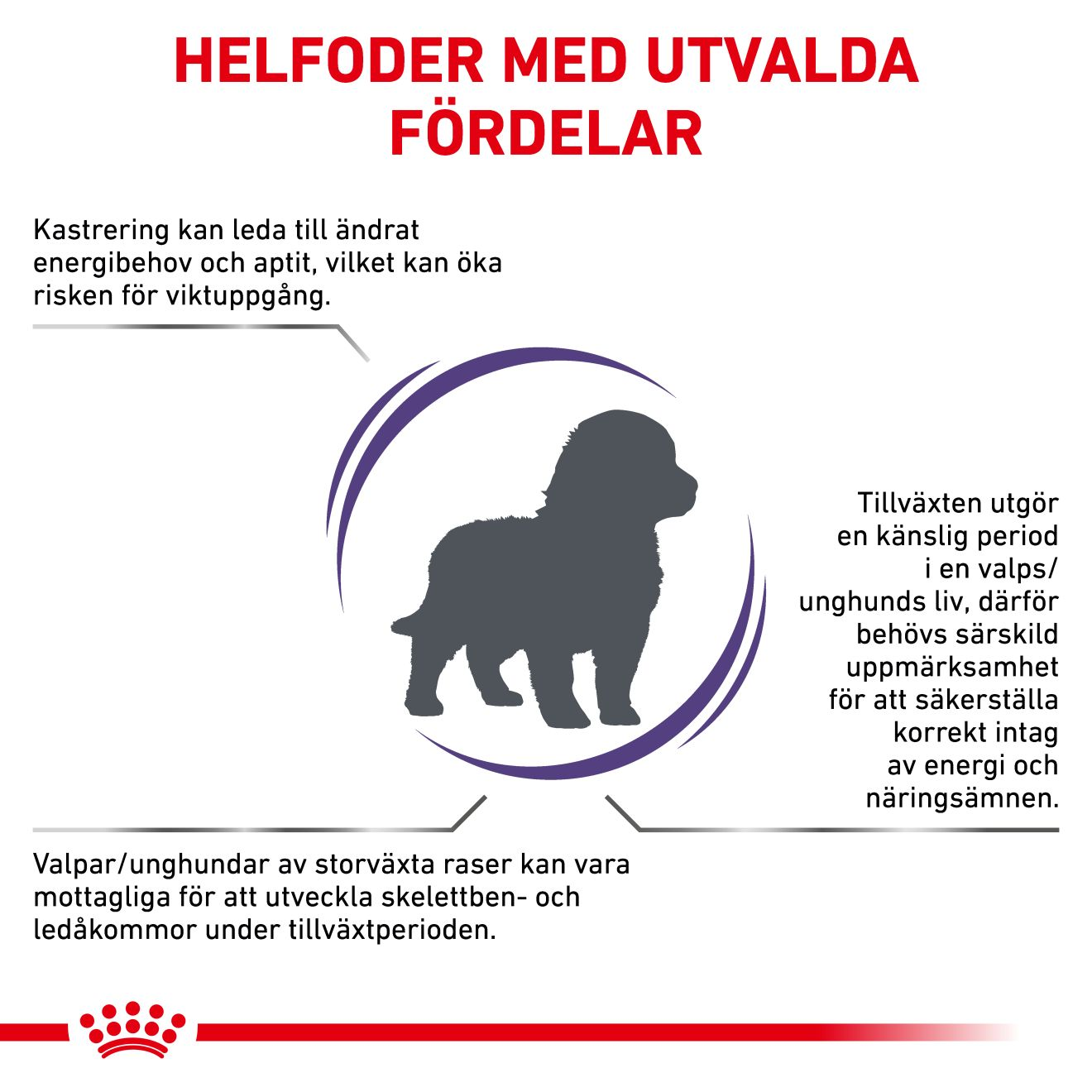 Health Neutered Junior Large Dog