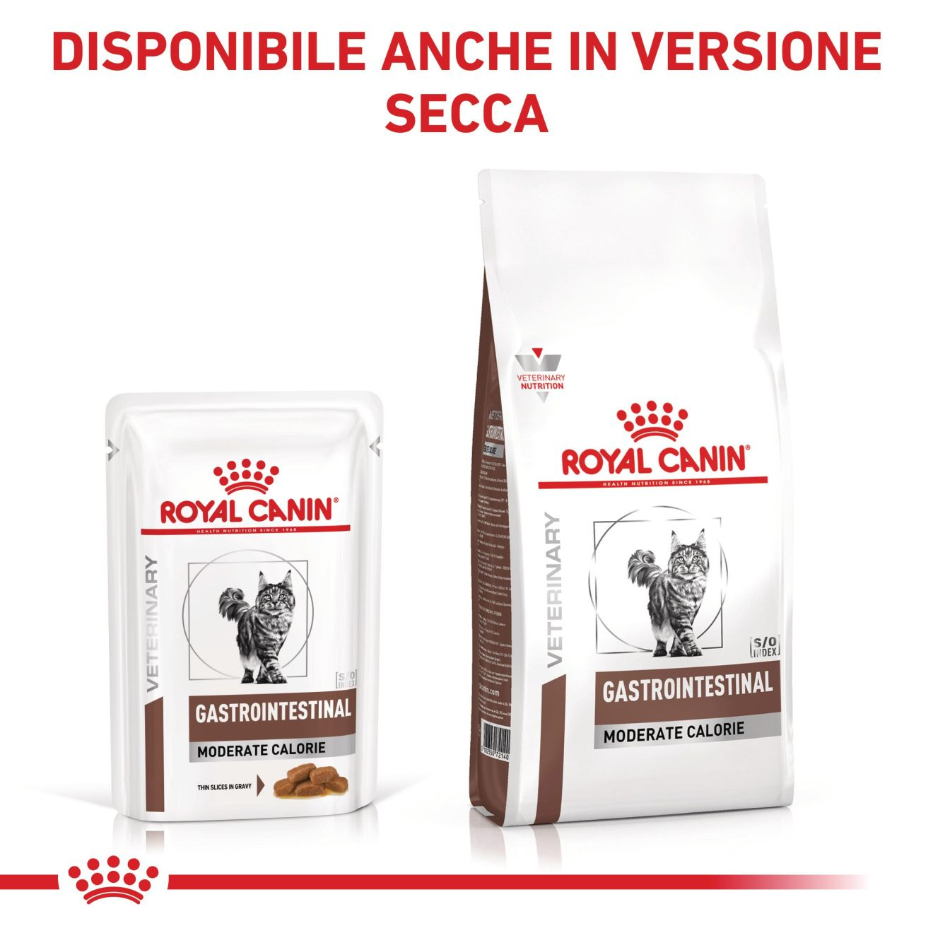 Gastrointestinal Moderate Calorie