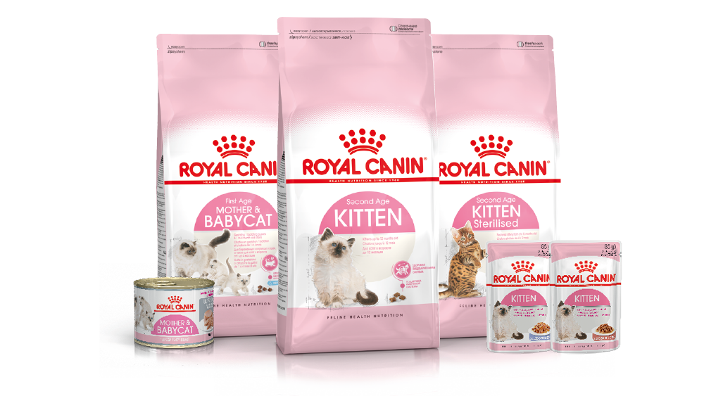 Kitten product range pack shot