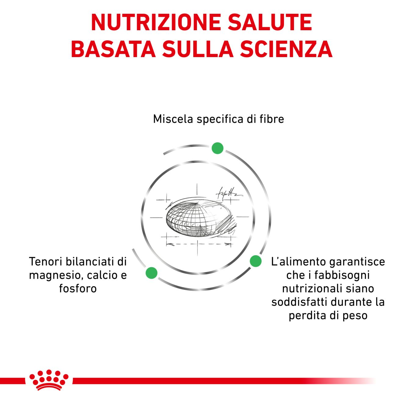 Satiety Weight Management Small Dog