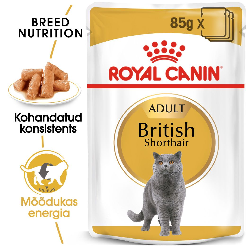 Royal Canin British Shorthair konserv (õhukesed viilud kastmes)