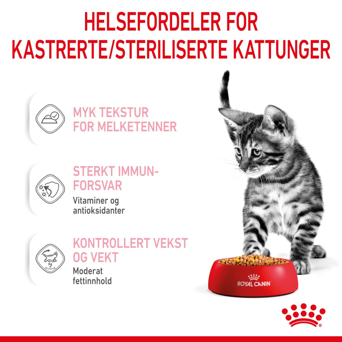 Kitten Sterilised Jelly