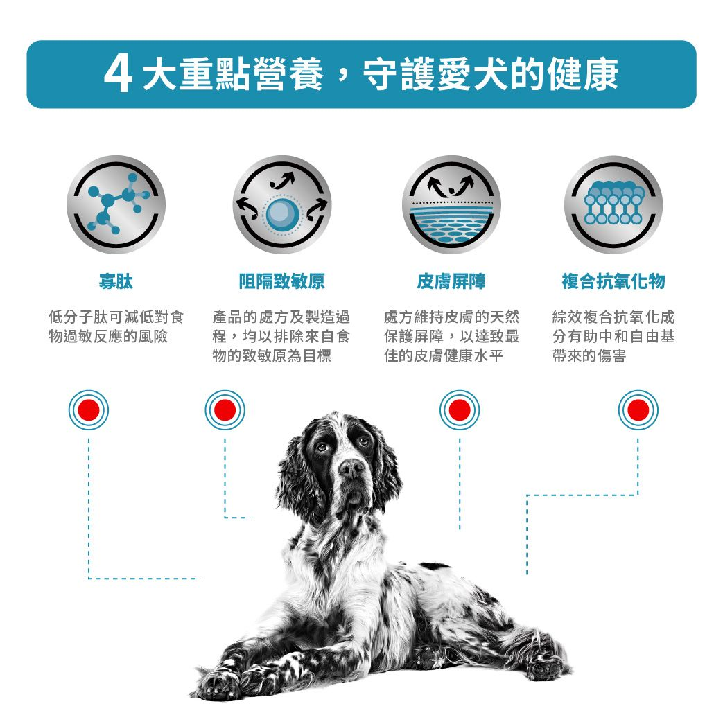成犬高度水解低敏感處方