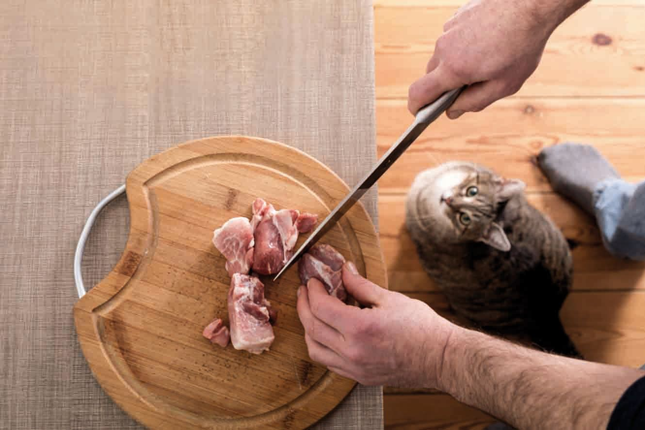 Les propriétaires peuvent choisir un régime qu’ils jugent plus appétent et plus satisfaisant pour leur animal