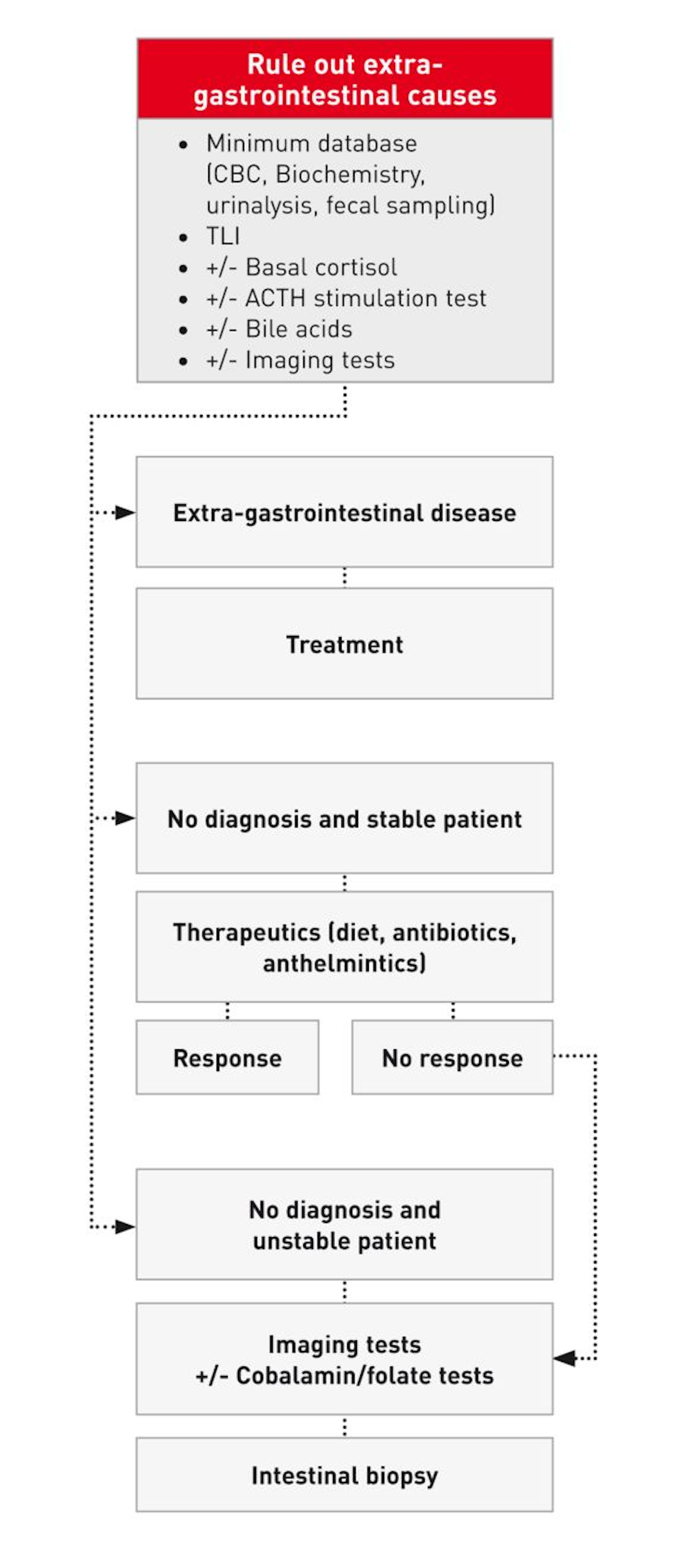 What Causes Epi In Dogs