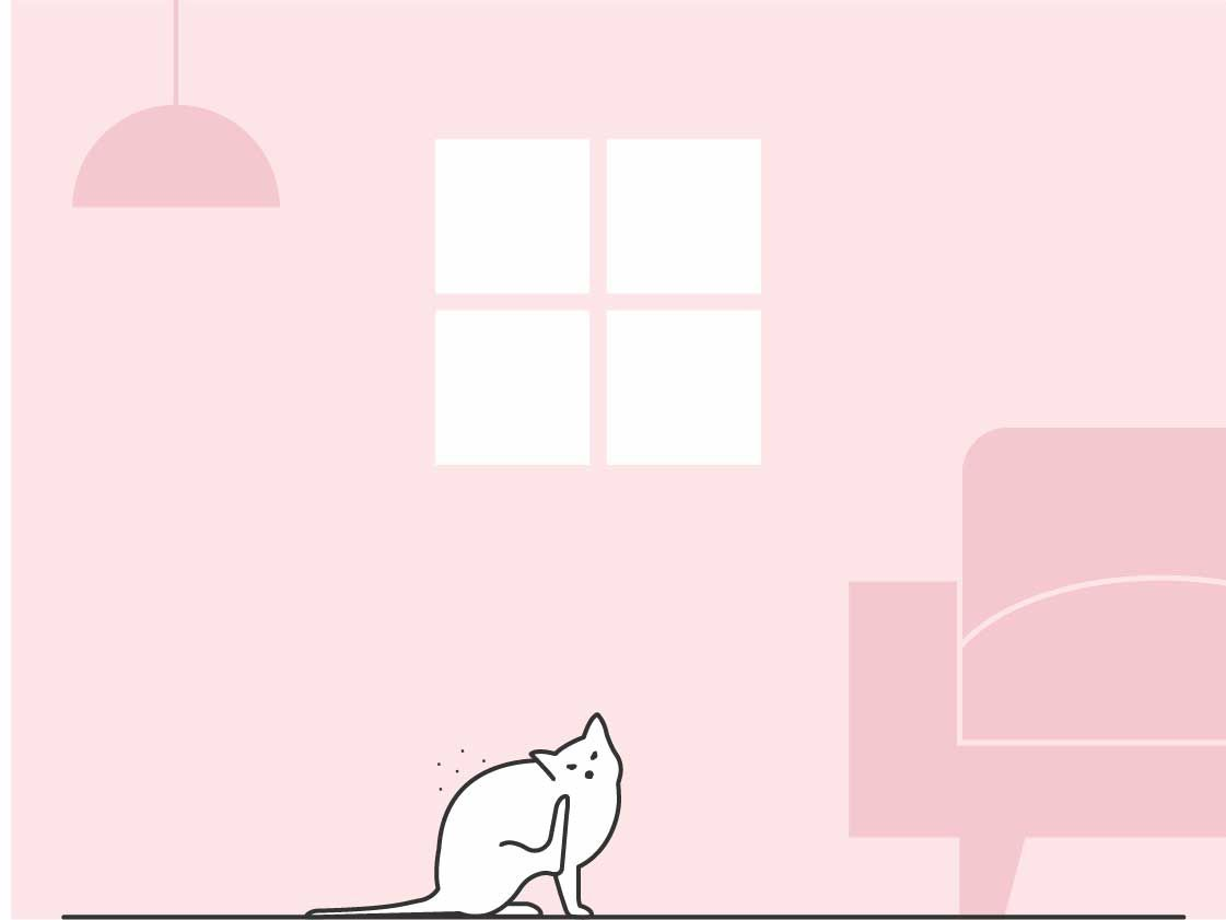 illustration of cat by window