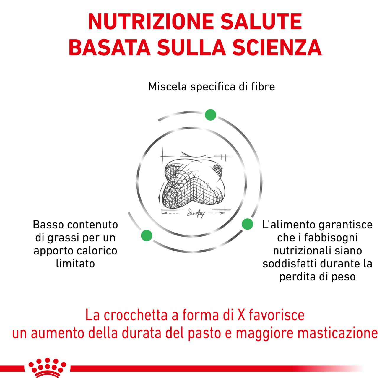 Satiety Weight Management: cibo secco cane dietetico | Royal Canin IT