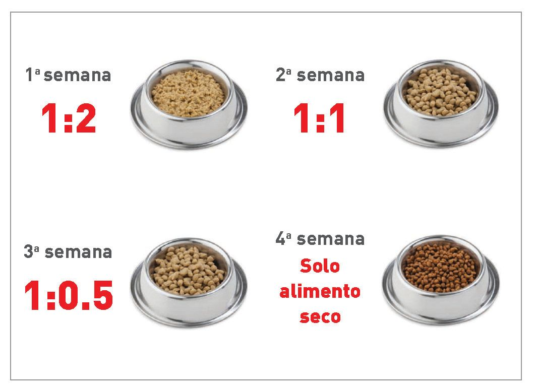 la proporción de agua y alimento seco (por volumen, no peso) para hidratarlo