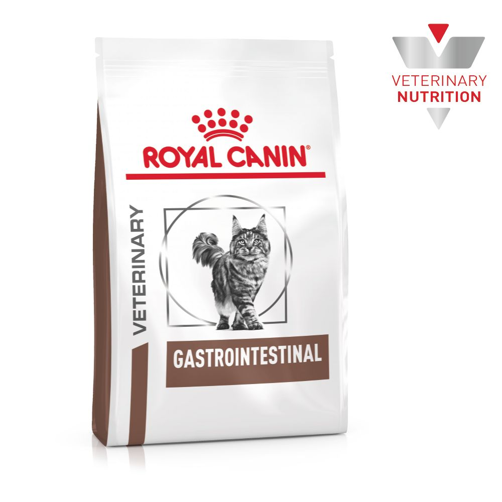 Gastro intestinal feline royal sale canin