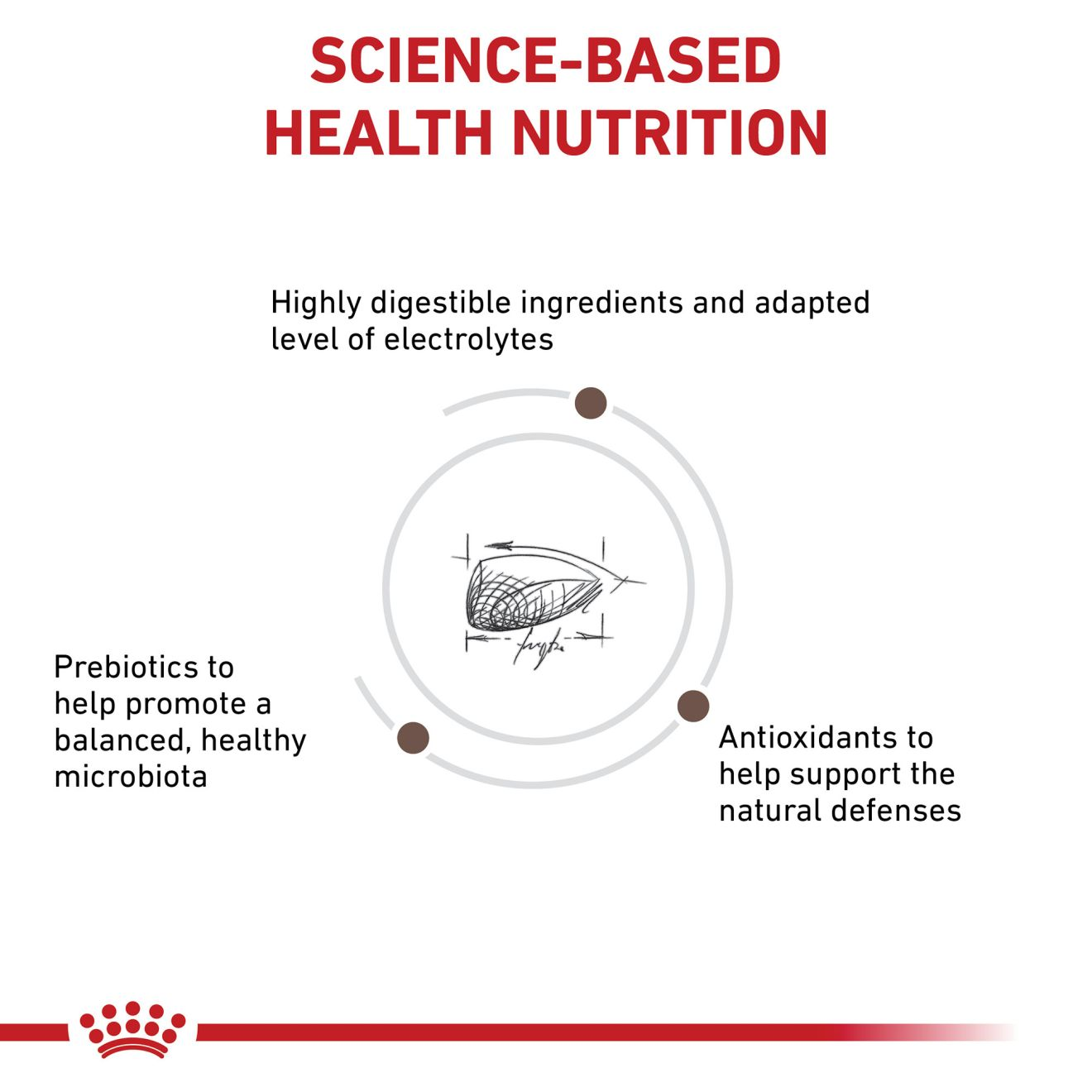 Royal canin intestinal high clearance energy