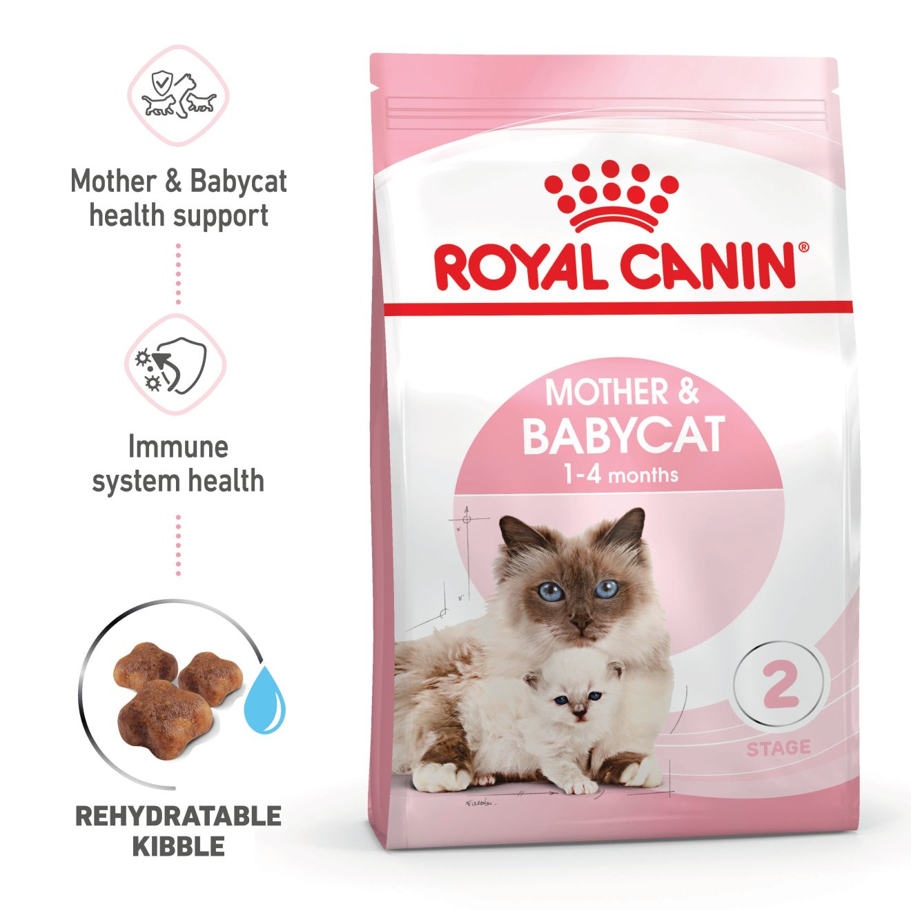 Baby cat food at home best sale