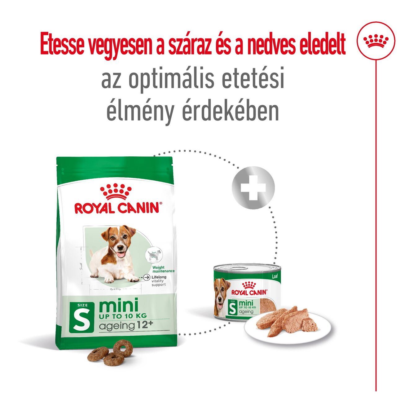 Mini Ageing 12+