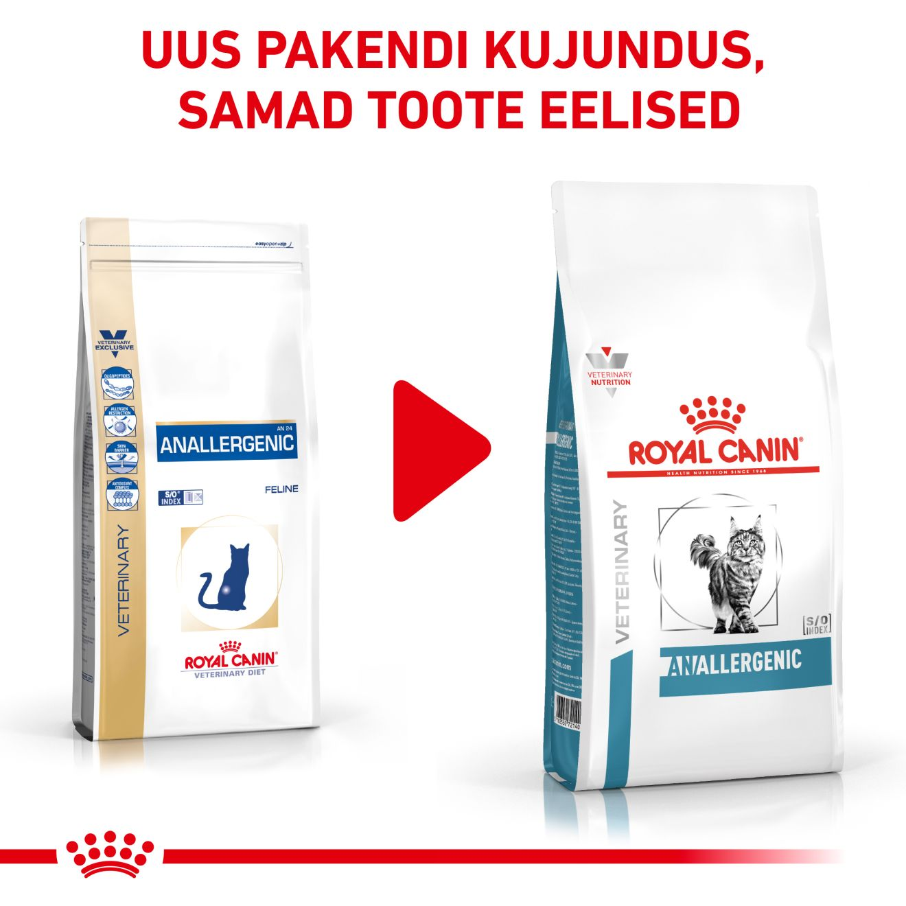 Royal Canin Anallergenic Cat kuivtoit