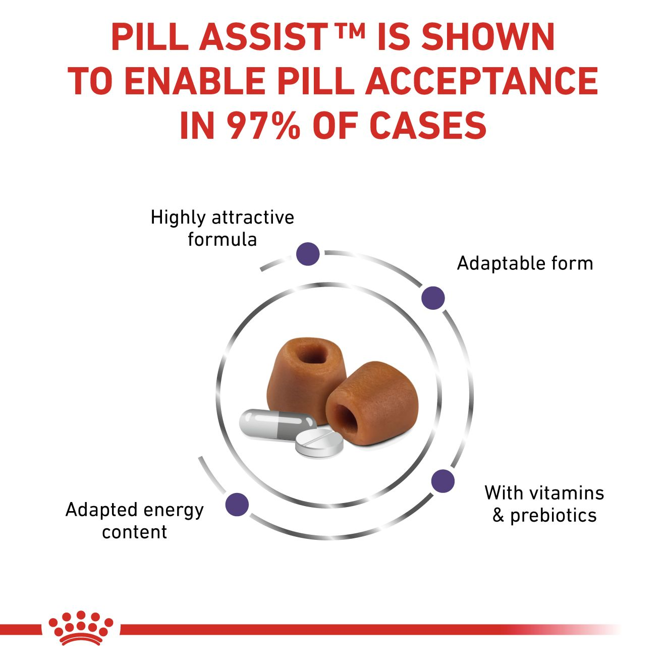 VHN Dog Pill Assist Large