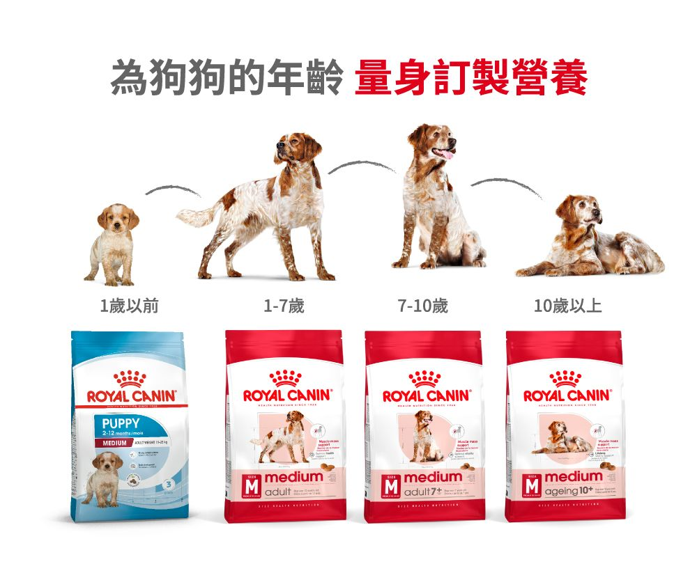 SHN 中型老犬10+營養配方