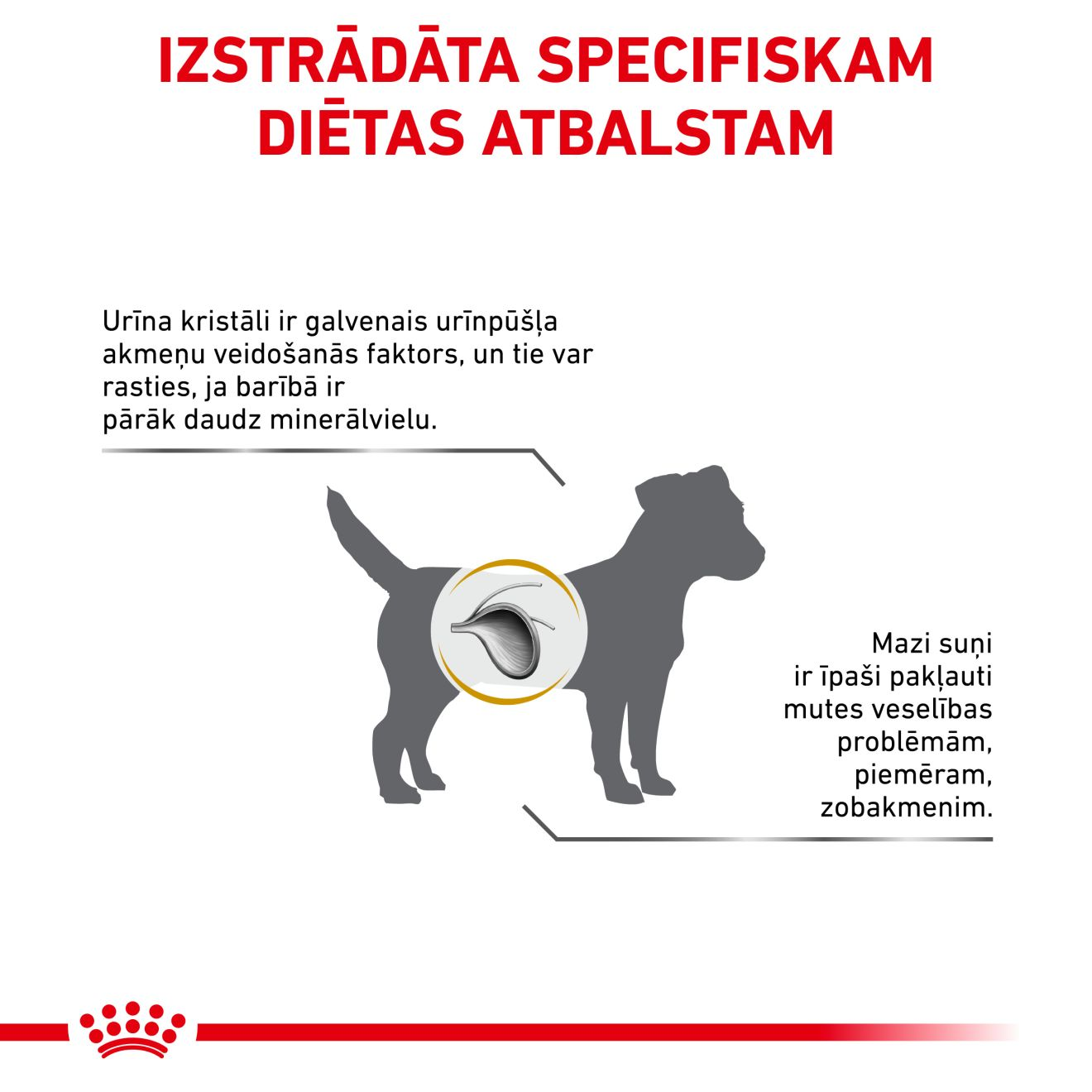 Urinary S/O Small Dog