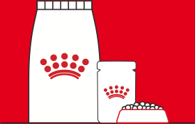 Royal Canin white bowl with scale and two product packages