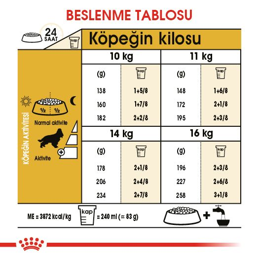Cocker Adult Yetişkin Köpek Kuru Maması
