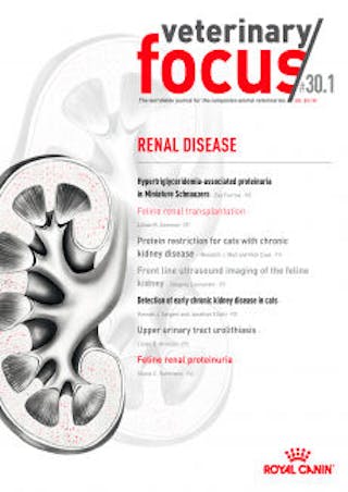 Renal Diseases