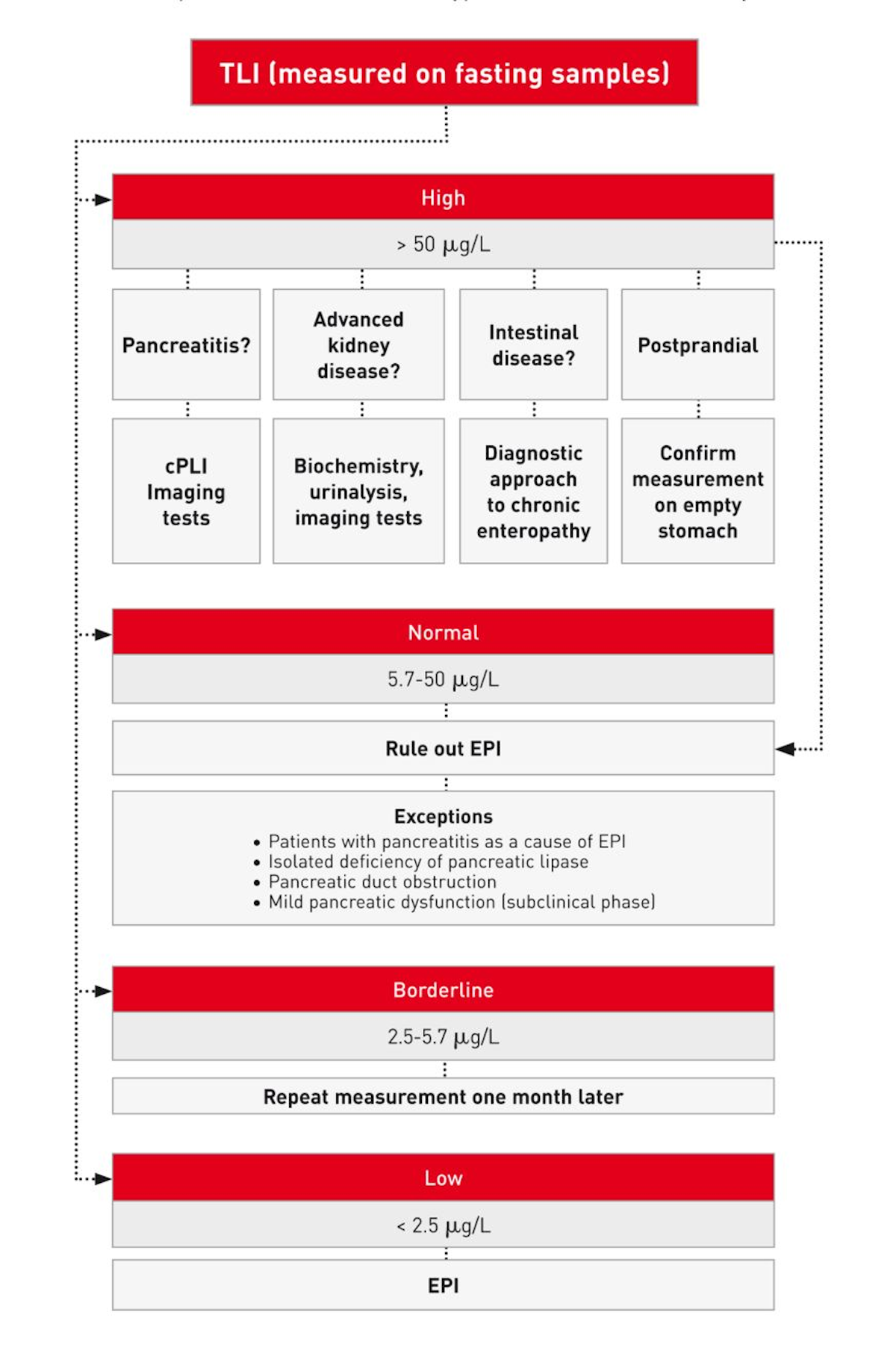 Exocrine pancreatic insufficiency in dogs Vet Focus