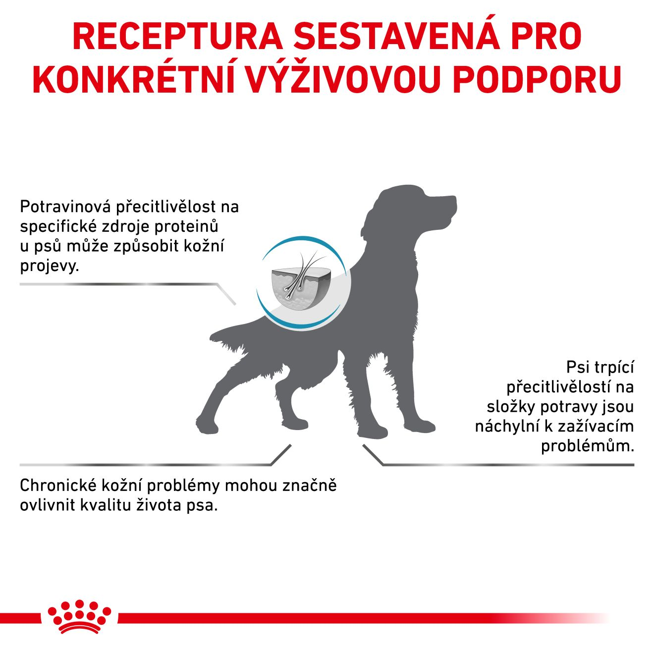 VHN Dog Hypoallergenic