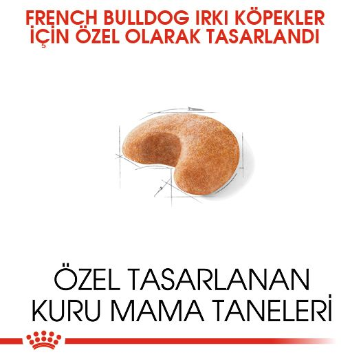 French Bulldog Adult Yetişkin Köpek Kuru Maması