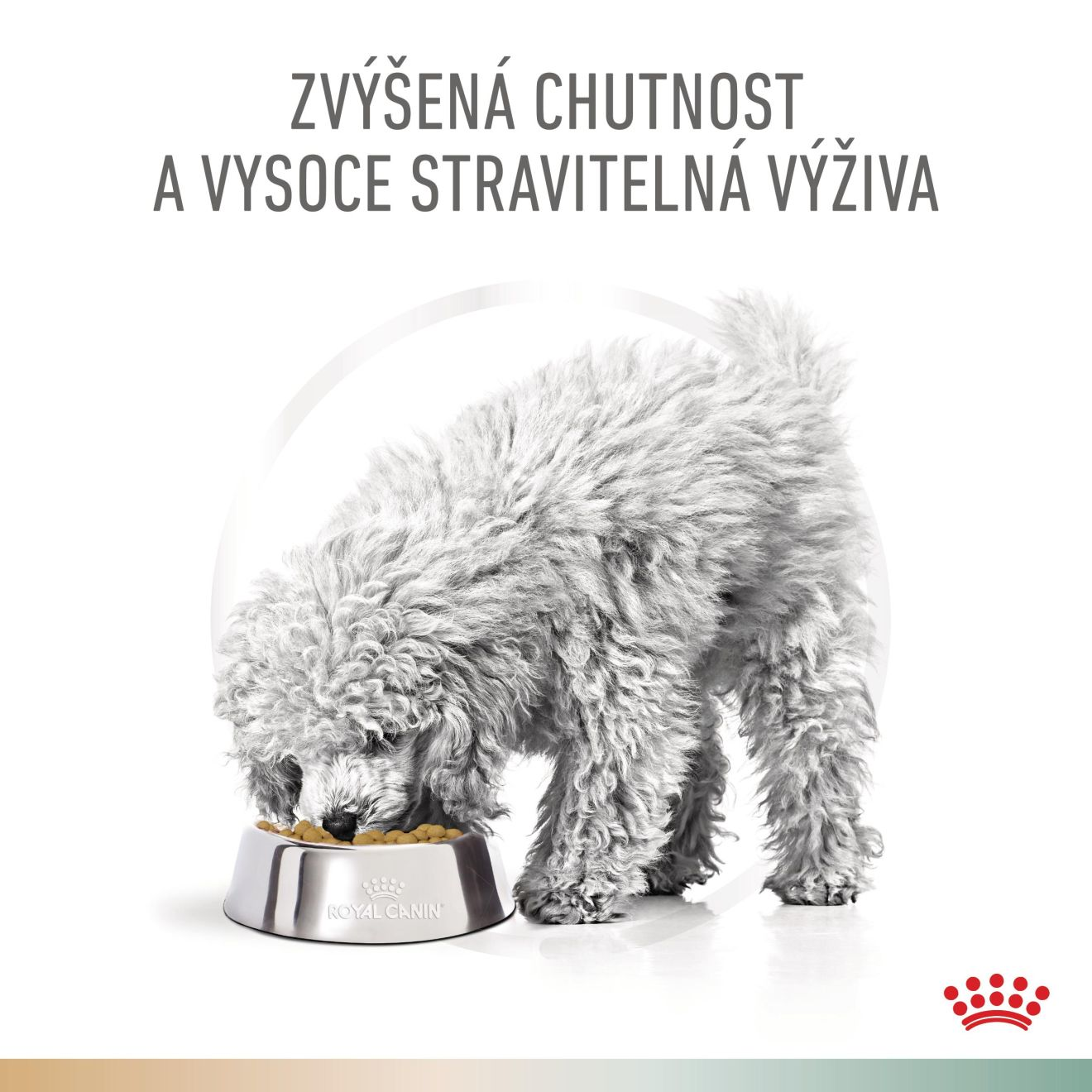 VHN Dog CA Urinary S/O - Satiety Small