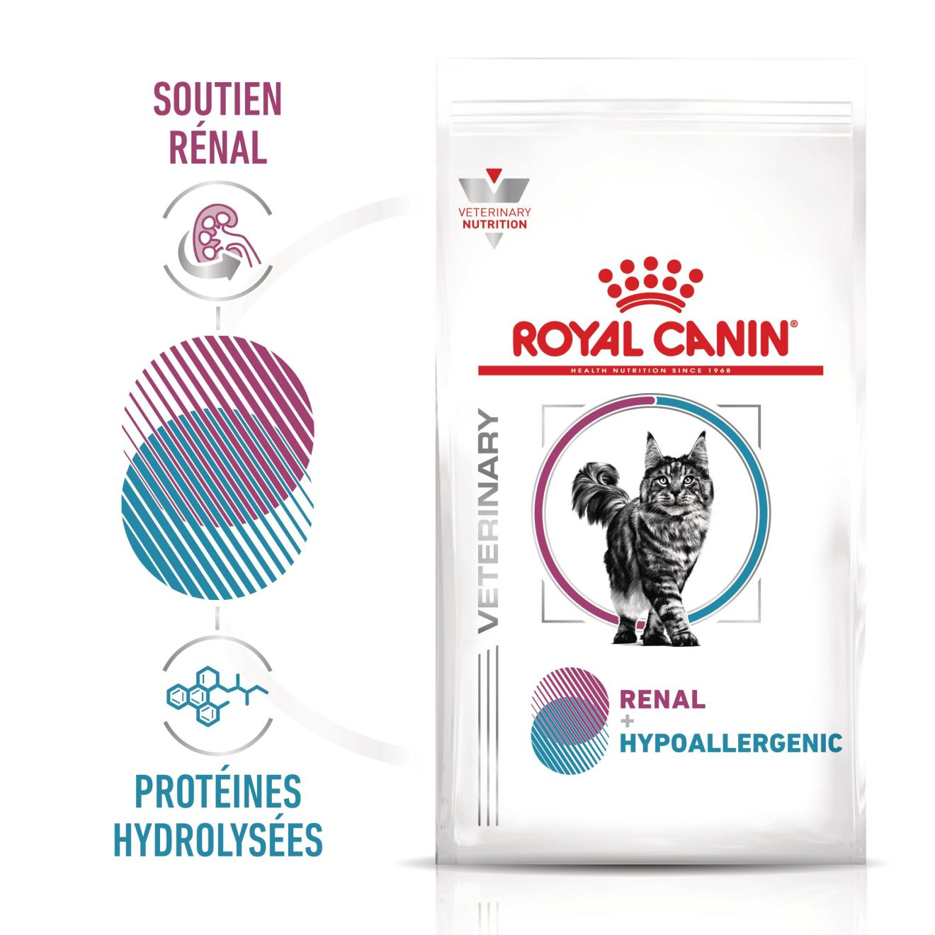 Renal + Hypoallergenic Chat