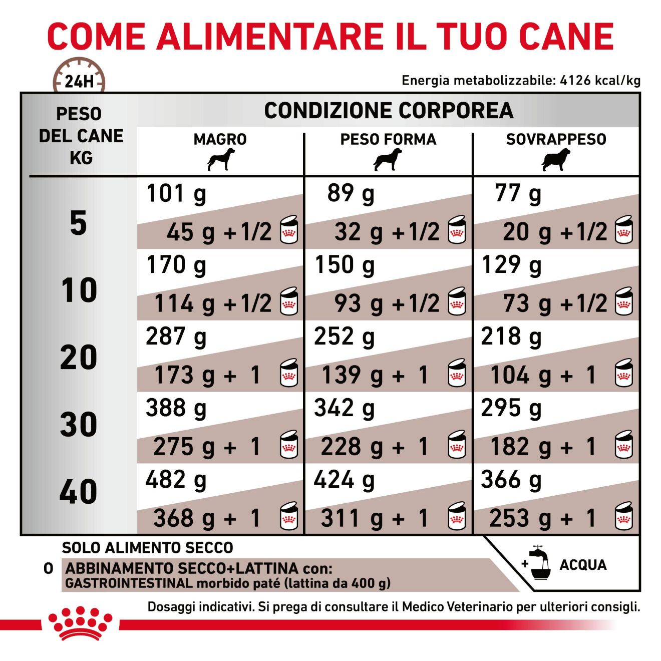 Royal canin gastrointestinal clearance cane