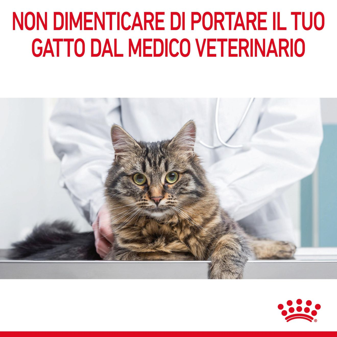 Digestive Care